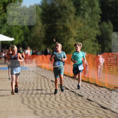 07.09.2025 - 19. Norderstedt Triathlon Michael Strokosch http://msf.ph/oto/8802089 07.09.2025 09:16:32 Laufen 8, 13, 47 meine-sportfotos.de
