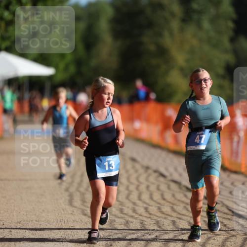 07.09.2025 - 19. Norderstedt Triathlon Michael Strokosch http://msf.ph/oto/8802162 07.09.2025 09:16:36 Laufen 8, 13, 47, 48 meine-sportfotos.de