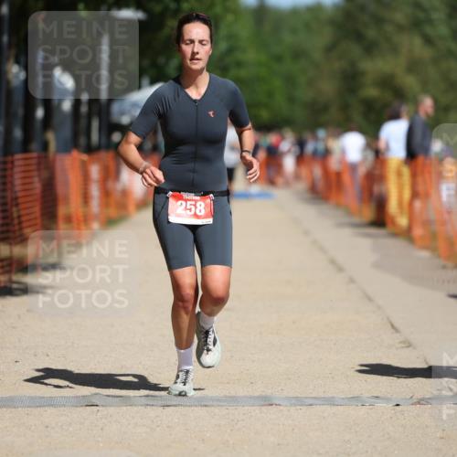 07.09.2025 - 19. Norderstedt Triathlon Michael Strokosch http://msf.ph/oto/8802220 07.09.2025 12:33:03 Laufen 245, 258 meine-sportfotos.de