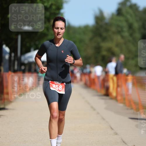 07.09.2025 - 19. Norderstedt Triathlon Michael Strokosch http://msf.ph/oto/8802226 07.09.2025 12:33:03 Laufen 245, 258 meine-sportfotos.de
