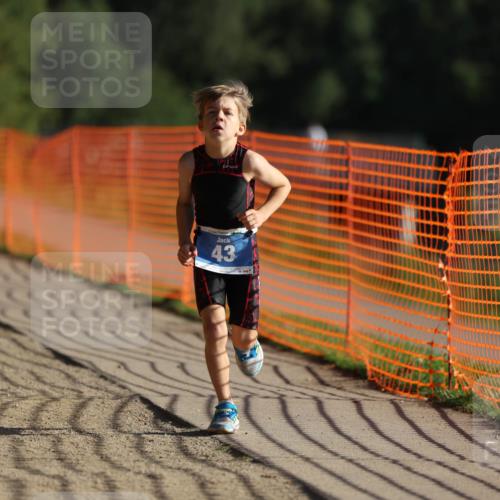 07.09.2025 - 19. Norderstedt Triathlon Michael Strokosch http://msf.ph/oto/8802358 07.09.2025 09:16:55 Laufen 43 meine-sportfotos.de
