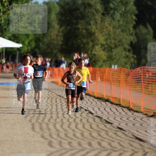 07.09.2025 - 19. Norderstedt Triathlon Michael Strokosch http://msf.ph/oto/8802450 07.09.2025 09:17:02 Laufen 10, 24, 31, 32, 43 meine-sportfotos.de
