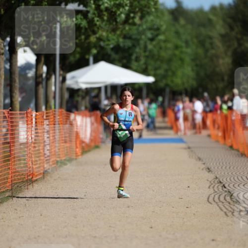 07.09.2025 - 19. Norderstedt Triathlon Michael Strokosch http://msf.ph/oto/8803370 07.09.2025 11:01:44 Laufen 74, 111 meine-sportfotos.de
