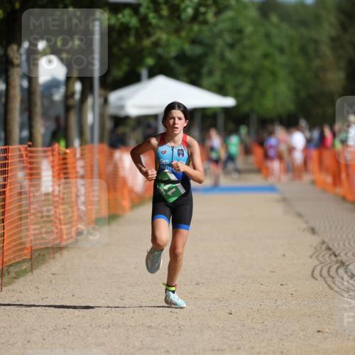 07.09.2025 - 19. Norderstedt Triathlon Michael Strokosch http://msf.ph/oto/8803407 07.09.2025 11:01:45 Laufen 74, 111 meine-sportfotos.de