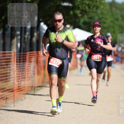 07.09.2025 - 19. Norderstedt Triathlon Michael Strokosch http://msf.ph/oto/8803977 07.09.2025 12:05:45 Laufen 201, 237, 815, 1225, 1377 meine-sportfotos.de