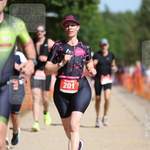 07.09.2025 - 19. Norderstedt Triathlon Michael Strokosch http://msf.ph/oto/8804040 07.09.2025 12:05:48 Laufen 201, 237, 815, 1225, 1377 meine-sportfotos.de