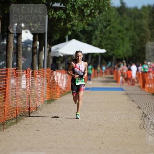07.09.2025 - 19. Norderstedt Triathlon Michael Strokosch http://msf.ph/oto/8804087 07.09.2025 11:03:53 Laufen 71, 92 meine-sportfotos.de