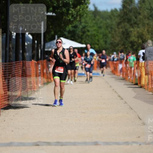 07.09.2025 - 19. Norderstedt Triathlon Michael Strokosch http://msf.ph/oto/8804209 07.09.2025 12:36:00 Laufen 1242, 1258 meine-sportfotos.de