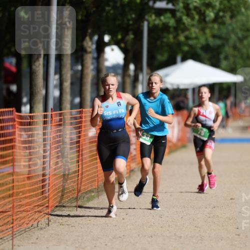 07.09.2025 - 19. Norderstedt Triathlon Michael Strokosch http://msf.ph/oto/8804786 07.09.2025 11:06:28 Laufen 67, 75, 133 meine-sportfotos.de