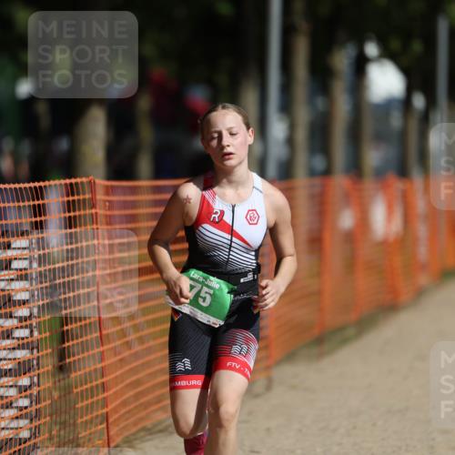 07.09.2025 - 19. Norderstedt Triathlon Michael Strokosch http://msf.ph/oto/8804894 07.09.2025 11:06:33 Laufen 67, 75, 133 meine-sportfotos.de