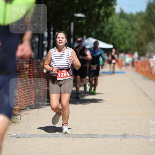 07.09.2025 - 19. Norderstedt Triathlon Michael Strokosch http://msf.ph/oto/8804978 07.09.2025 13:15:01 Laufen 166, 262, 275, 308, 1264 meine-sportfotos.de