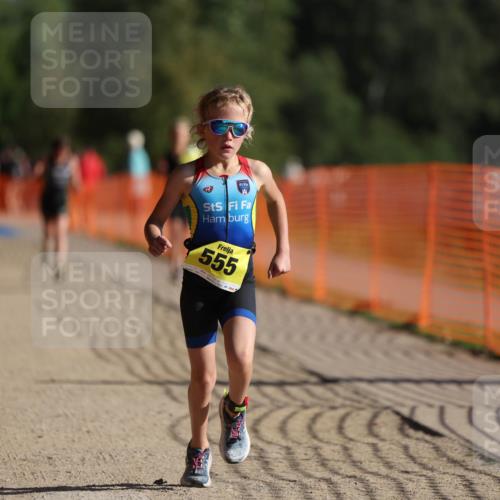 07.09.2025 - 19. Norderstedt Triathlon Michael Strokosch http://msf.ph/oto/8806092 07.09.2025 09:46:17 Laufen 555, 584, 597 meine-sportfotos.de