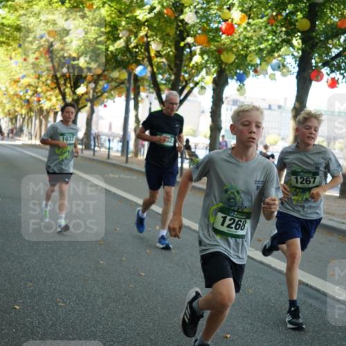 07.09.2025 - BARMER Alsterlauf Yannick Fuchs http://msf.ph/oto/8806110 07.09.2025 11:54:42 Laufen 4326, 1037, 1268, 1267, 10 meine-sportfotos.de