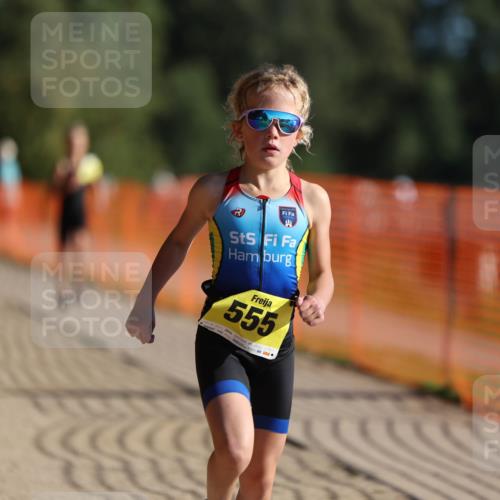 07.09.2025 - 19. Norderstedt Triathlon Michael Strokosch http://msf.ph/oto/8806121 07.09.2025 09:46:18 Laufen 555, 584, 597 meine-sportfotos.de