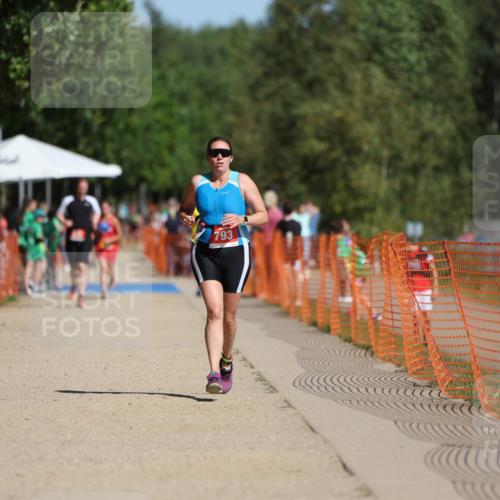 07.09.2025 - 19. Norderstedt Triathlon Michael Strokosch http://msf.ph/oto/8806131 07.09.2025 12:09:00 Laufen 793, 1244 meine-sportfotos.de
