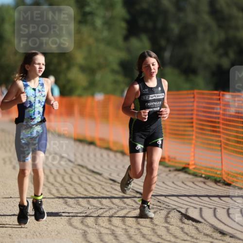 07.09.2025 - 19. Norderstedt Triathlon Michael Strokosch http://msf.ph/oto/8806207 07.09.2025 09:46:24 Laufen 565, 584, 599 meine-sportfotos.de