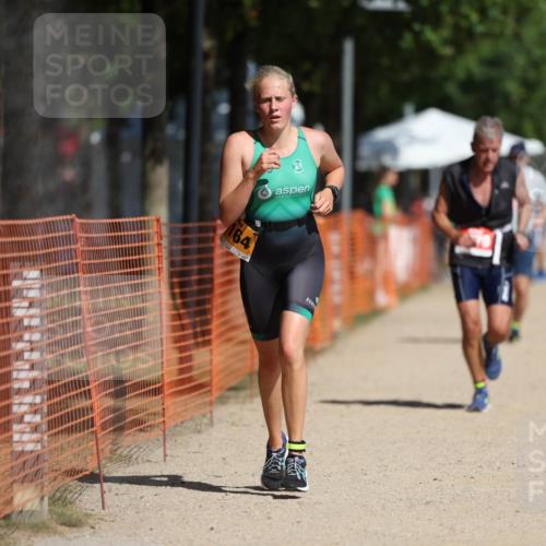 07.09.2025 - 19. Norderstedt Triathlon Michael Strokosch http://msf.ph/oto/8806637 07.09.2025 12:10:14 Laufen 1164, 1279 meine-sportfotos.de
