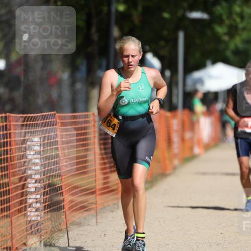 07.09.2025 - 19. Norderstedt Triathlon Michael Strokosch http://msf.ph/oto/8806646 07.09.2025 12:10:15 Laufen 826, 1164, 1279 meine-sportfotos.de
