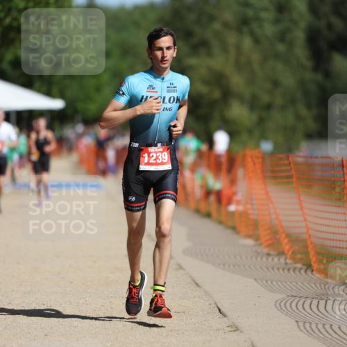 07.09.2025 - 19. Norderstedt Triathlon Michael Strokosch http://msf.ph/oto/8806800 07.09.2025 12:10:38 Laufen 1239 meine-sportfotos.de