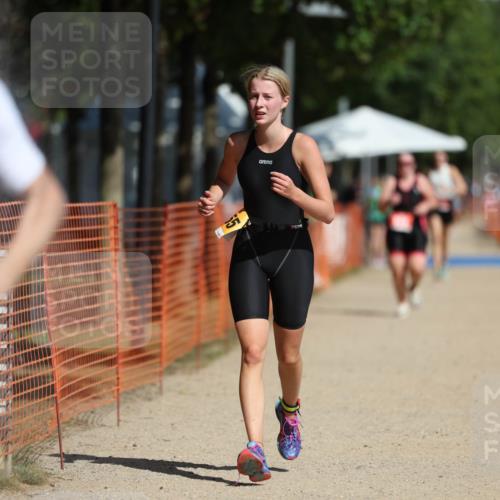 07.09.2025 - 19. Norderstedt Triathlon Michael Strokosch http://msf.ph/oto/8806871 07.09.2025 12:10:50 Laufen 300, 1155 meine-sportfotos.de