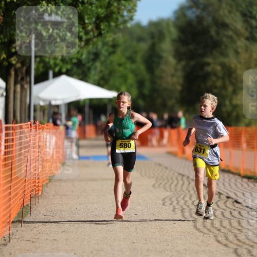 07.09.2025 - 19. Norderstedt Triathlon Michael Strokosch http://msf.ph/oto/8807200 07.09.2025 09:48:15 Laufen 579, 580, 631 meine-sportfotos.de