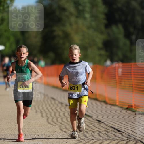 07.09.2025 - 19. Norderstedt Triathlon Michael Strokosch http://msf.ph/oto/8807238 07.09.2025 09:48:17 Laufen 579, 580, 631 meine-sportfotos.de
