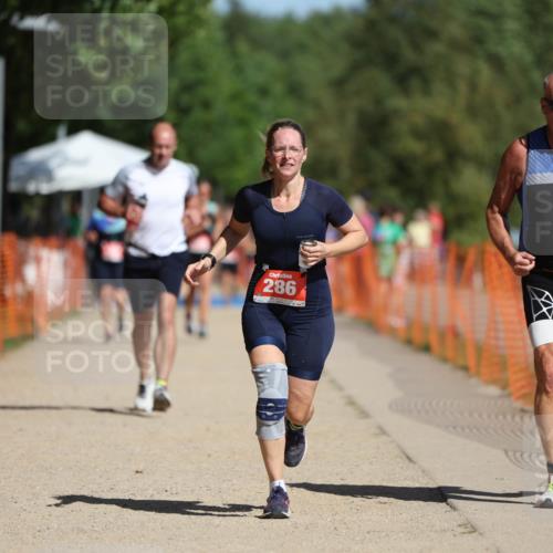 07.09.2025 - 19. Norderstedt Triathlon Michael Strokosch http://msf.ph/oto/8807426 07.09.2025 12:12:56 Laufen 286, 710, 861 meine-sportfotos.de