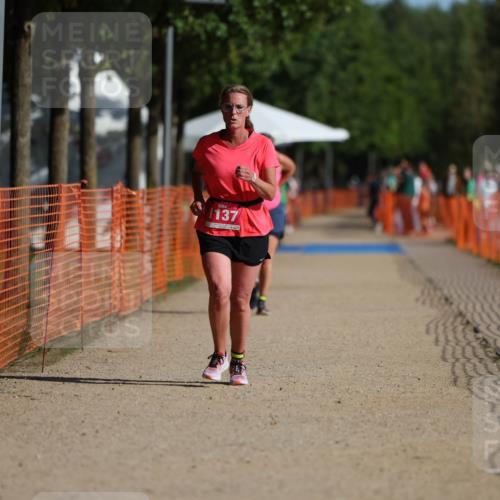 07.09.2025 - 19. Norderstedt Triathlon Michael Strokosch http://msf.ph/oto/8809551 07.09.2025 10:37:07 Laufen 1137 meine-sportfotos.de