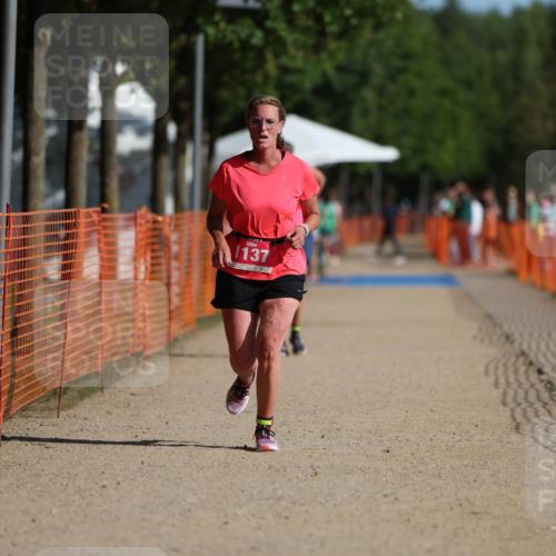 07.09.2025 - 19. Norderstedt Triathlon Michael Strokosch http://msf.ph/oto/8809556 07.09.2025 10:37:07 Laufen 1137 meine-sportfotos.de