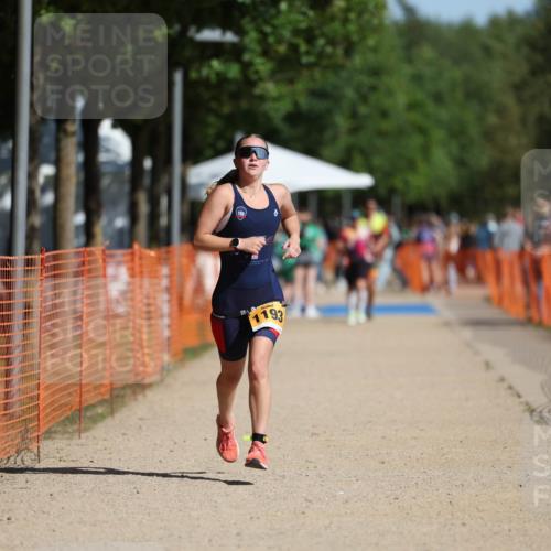 07.09.2025 - 19. Norderstedt Triathlon Michael Strokosch http://msf.ph/oto/8810753 07.09.2025 11:39:39 Laufen 1156, 1193 meine-sportfotos.de