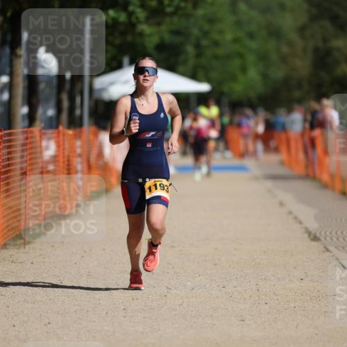 07.09.2025 - 19. Norderstedt Triathlon Michael Strokosch http://msf.ph/oto/8810767 07.09.2025 11:39:40 Laufen 1156, 1193 meine-sportfotos.de