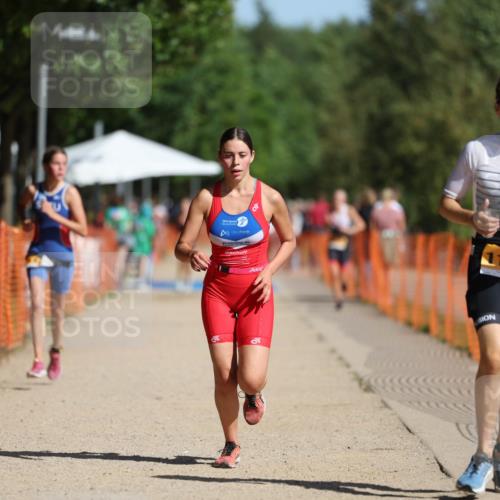 07.09.2025 - 19. Norderstedt Triathlon Michael Strokosch http://msf.ph/oto/8811427 07.09.2025 11:40:25 Laufen 1185, 1189, 1194 meine-sportfotos.de