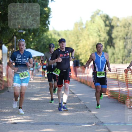 07.09.2025 - 19. Norderstedt Triathlon Michael Strokosch http://msf.ph/oto/8812429 07.09.2025 16:21:11 Laufen 510, 521, 1075, 1573, 1603, 1630 meine-sportfotos.de