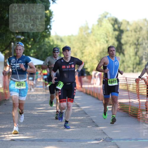 07.09.2025 - 19. Norderstedt Triathlon Michael Strokosch http://msf.ph/oto/8812432 07.09.2025 16:21:11 Laufen 510, 521, 1075, 1573, 1603, 1630 meine-sportfotos.de
