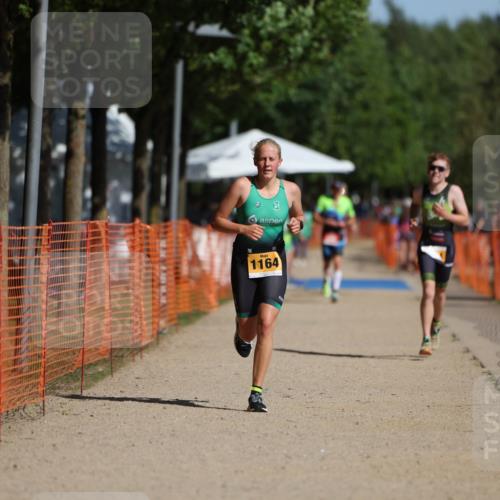 07.09.2025 - 19. Norderstedt Triathlon Michael Strokosch http://msf.ph/oto/8812561 07.09.2025 11:41:58 Laufen 1164, 1180, 1183 meine-sportfotos.de