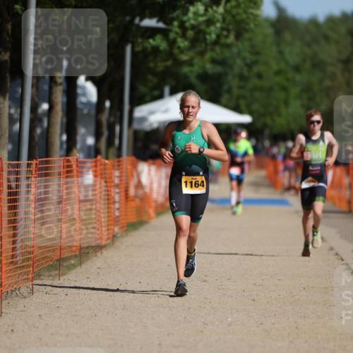 07.09.2025 - 19. Norderstedt Triathlon Michael Strokosch http://msf.ph/oto/8812570 07.09.2025 11:41:58 Laufen 1164, 1180, 1183 meine-sportfotos.de