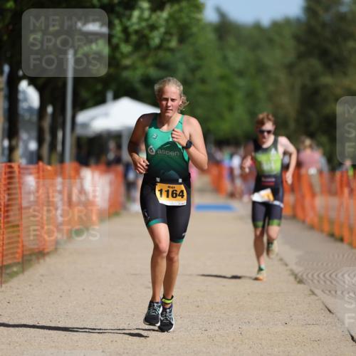 07.09.2025 - 19. Norderstedt Triathlon Michael Strokosch http://msf.ph/oto/8812595 07.09.2025 11:42:00 Laufen 1164, 1180, 1183 meine-sportfotos.de