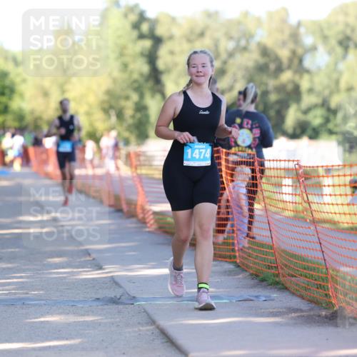 07.09.2025 - 19. Norderstedt Triathlon Michael Strokosch http://msf.ph/oto/8813976 07.09.2025 16:26:14 Laufen 401, 913, 916, 1474, 1485 meine-sportfotos.de