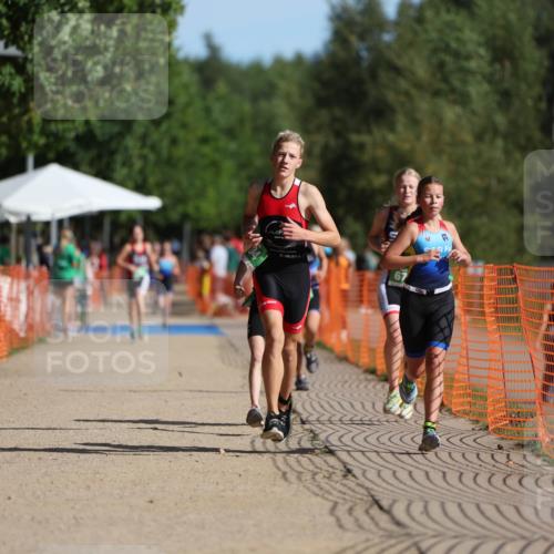 07.09.2025 - 19. Norderstedt Triathlon Michael Strokosch http://msf.ph/oto/8814486 07.09.2025 10:45:25 Laufen 57, 89, 104, 668, 670 meine-sportfotos.de