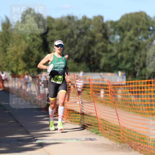 07.09.2025 - 19. Norderstedt Triathlon Michael Strokosch http://msf.ph/oto/8815450 07.09.2025 15:32:57 Laufen 1019, 1503 meine-sportfotos.de