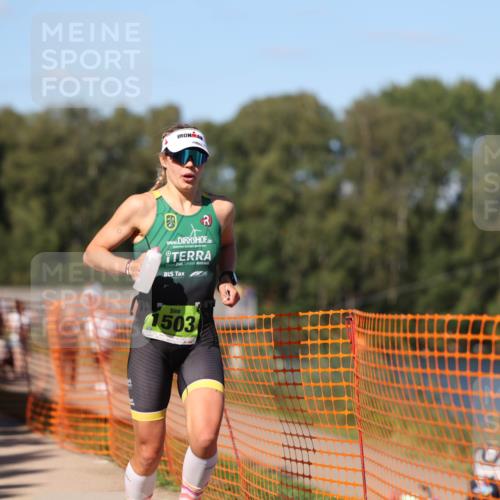 07.09.2025 - 19. Norderstedt Triathlon Michael Strokosch http://msf.ph/oto/8815472 07.09.2025 15:32:58 Laufen 1503 meine-sportfotos.de