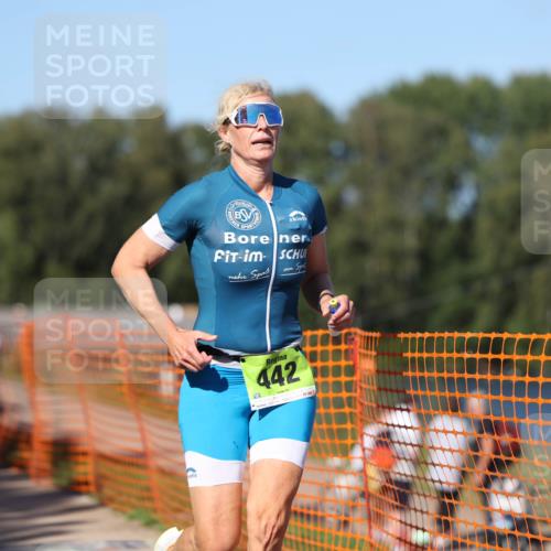 07.09.2025 - 19. Norderstedt Triathlon Michael Strokosch http://msf.ph/oto/8816459 07.09.2025 15:36:10 Laufen 438, 442, 1012 meine-sportfotos.de