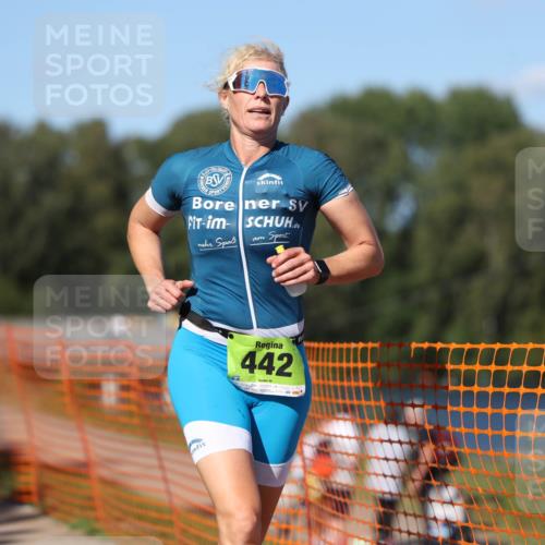 07.09.2025 - 19. Norderstedt Triathlon Michael Strokosch http://msf.ph/oto/8816467 07.09.2025 15:36:10 Laufen 438, 442, 1012 meine-sportfotos.de