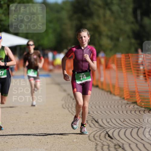 07.09.2025 - 19. Norderstedt Triathlon Michael Strokosch http://msf.ph/oto/8818037 07.09.2025 10:49:12 Laufen 74, 79, 127 meine-sportfotos.de