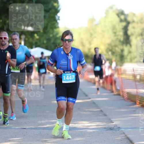 07.09.2025 - 19. Norderstedt Triathlon Michael Strokosch http://msf.ph/oto/8818094 07.09.2025 16:40:17 Laufen 386, 431, 1553, 1573, 1632 meine-sportfotos.de