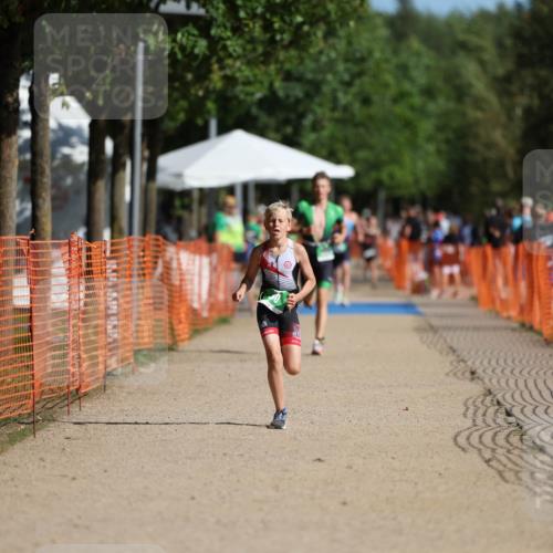 07.09.2025 - 19. Norderstedt Triathlon Michael Strokosch http://msf.ph/oto/8818970 07.09.2025 10:51:03 Laufen 75, 80, 663, 687 meine-sportfotos.de