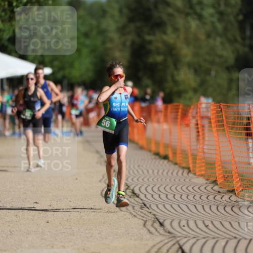 07.09.2025 - 19. Norderstedt Triathlon Michael Strokosch http://msf.ph/oto/8819166 07.09.2025 10:51:31 Laufen 56, 648, 673, 686, 1146 meine-sportfotos.de