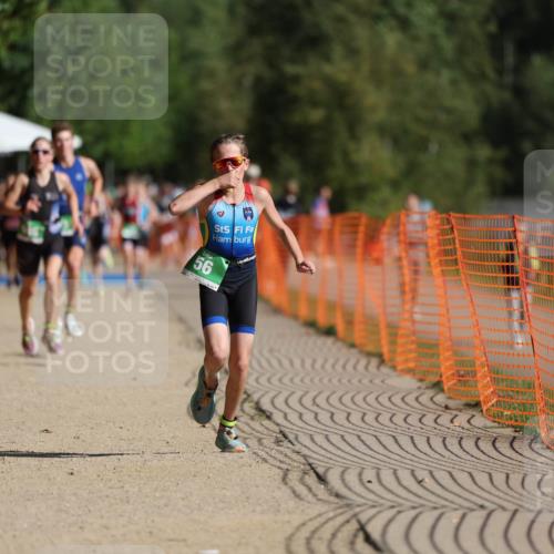 07.09.2025 - 19. Norderstedt Triathlon Michael Strokosch http://msf.ph/oto/8819169 07.09.2025 10:51:31 Laufen 56, 648, 673, 686, 1146 meine-sportfotos.de