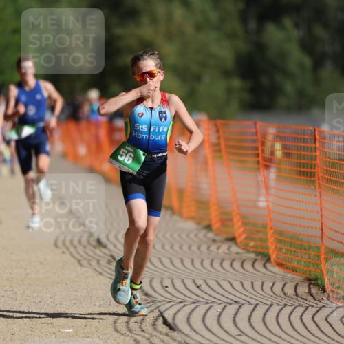 07.09.2025 - 19. Norderstedt Triathlon Michael Strokosch http://msf.ph/oto/8819185 07.09.2025 10:51:33 Laufen 56, 648, 673, 686, 1146 meine-sportfotos.de