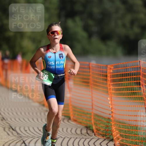 07.09.2025 - 19. Norderstedt Triathlon Michael Strokosch http://msf.ph/oto/8819191 07.09.2025 10:51:33 Laufen 56, 648, 673, 686, 1146 meine-sportfotos.de